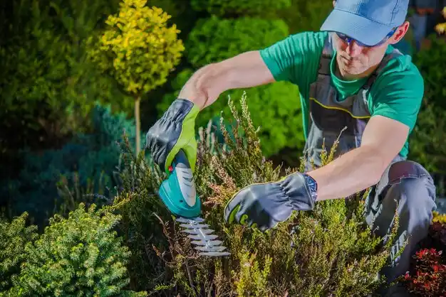 landscaping services Piqua
